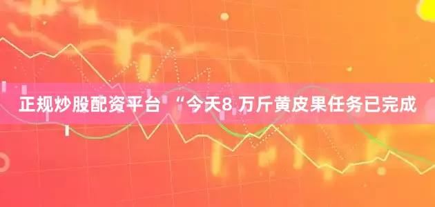 正规炒股配资平台  “今天8 万斤黄皮果任务已完成