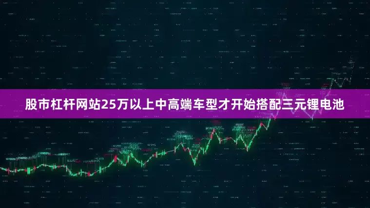 股市杠杆网站25万以上中高端车型才开始搭配三元锂电池