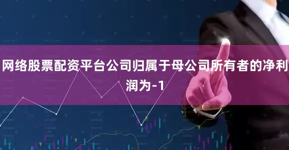 网络股票配资平台公司归属于母公司所有者的净利润为-1