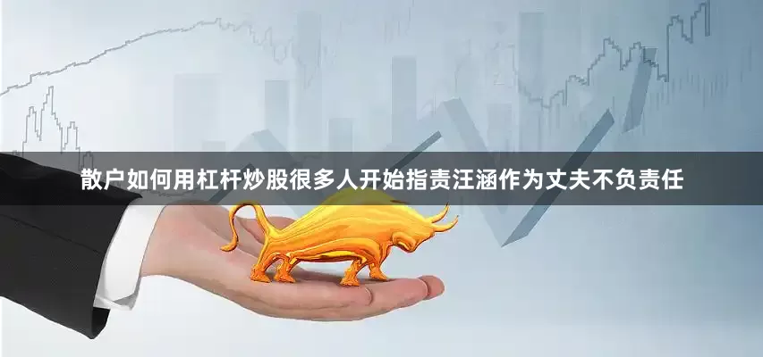 散户如何用杠杆炒股很多人开始指责汪涵作为丈夫不负责任